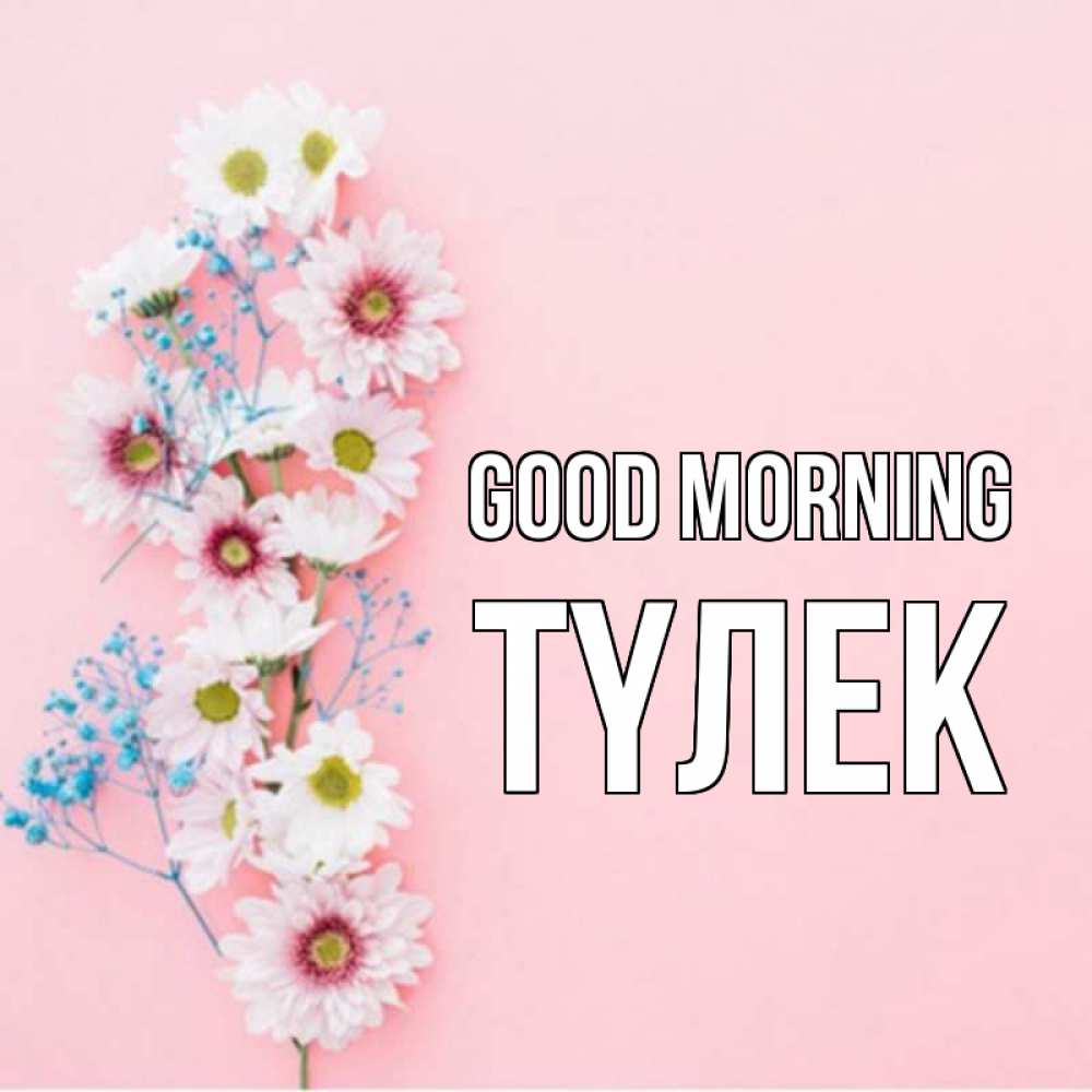 Greetings card с именем, ТҮЛЕК Good morning цветы с подписью Greetings with text for free download 