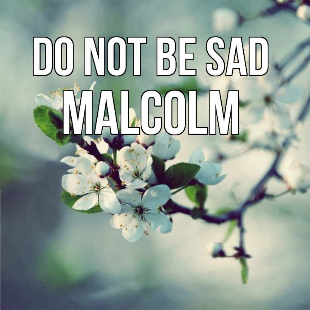 Greetings card с именем, Malcolm Do not be sad яблоня в цвету 1 Greetings with text for free download 