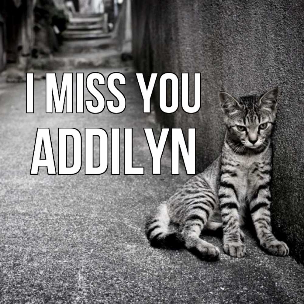 Greetings card с именем, Addilyn I miss you одиноко котику Greetings with text for free download 