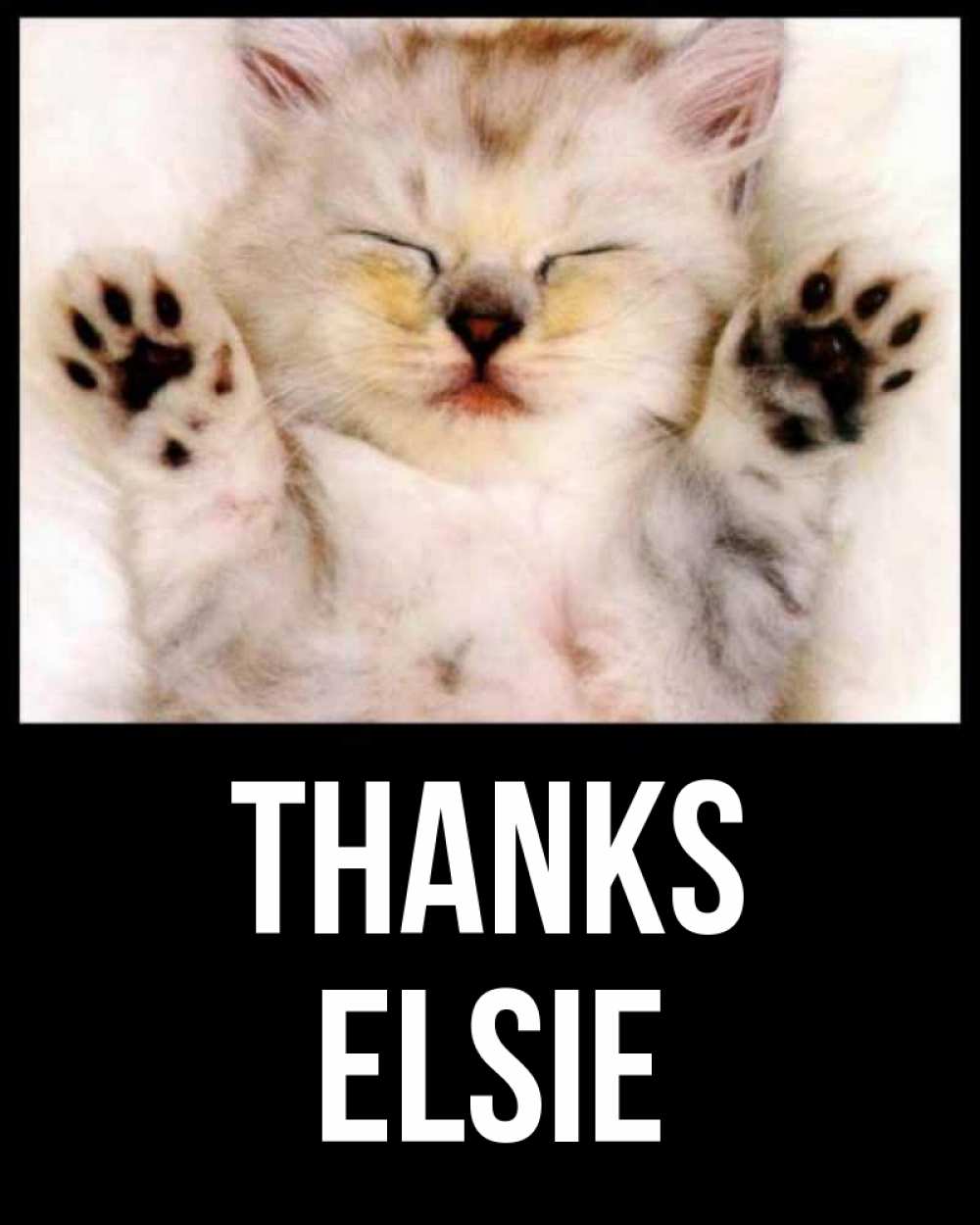 Greetings card с именем, Elsie Thanks маленький котенок Greetings with text for free download 