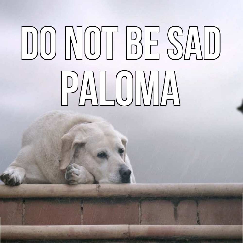 Greetings card с именем, Paloma Do not be sad белый пес 1 Greetings with text for free download 