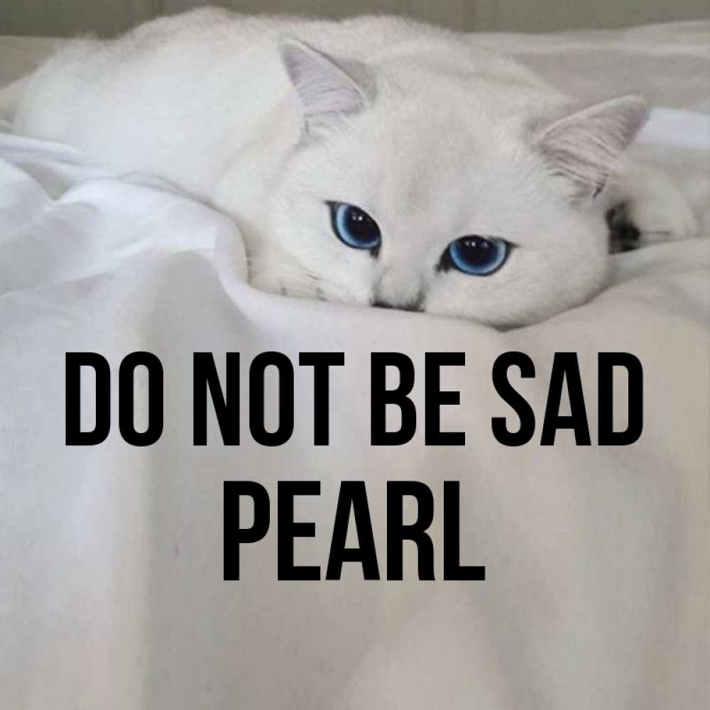 Greetings card с именем, Pearl Do not be sad Голубоглазая кошка Greetings with text for free download 