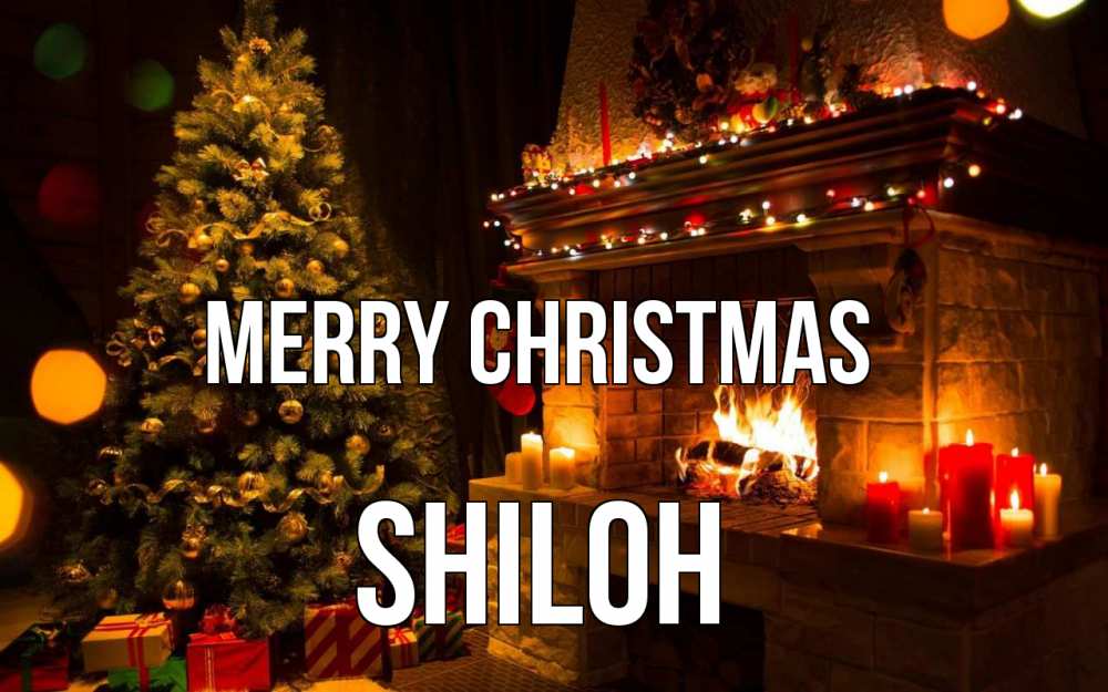 Greetings card с именем, Shiloh Merry Christmas новый год Greetings with text for free download 