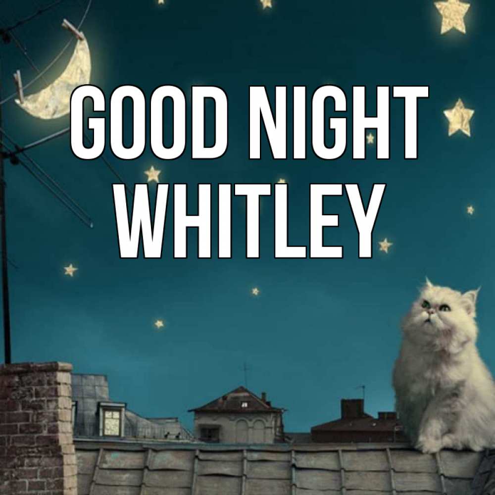 Greetings card с именем, Whitley Good night белый кот сидит на крыше Greetings with text for free download 