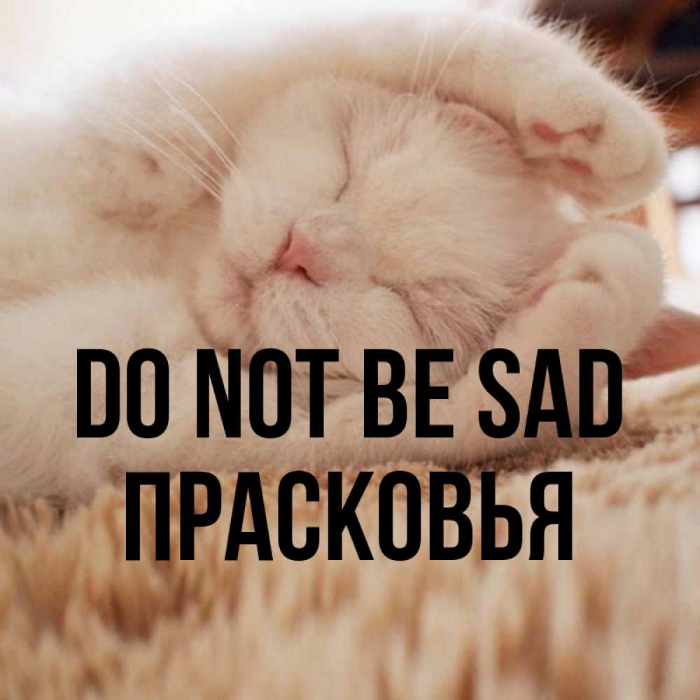 Greetings card с именем, Прасковья Do not be sad Котенок спит Greetings with text for free download 