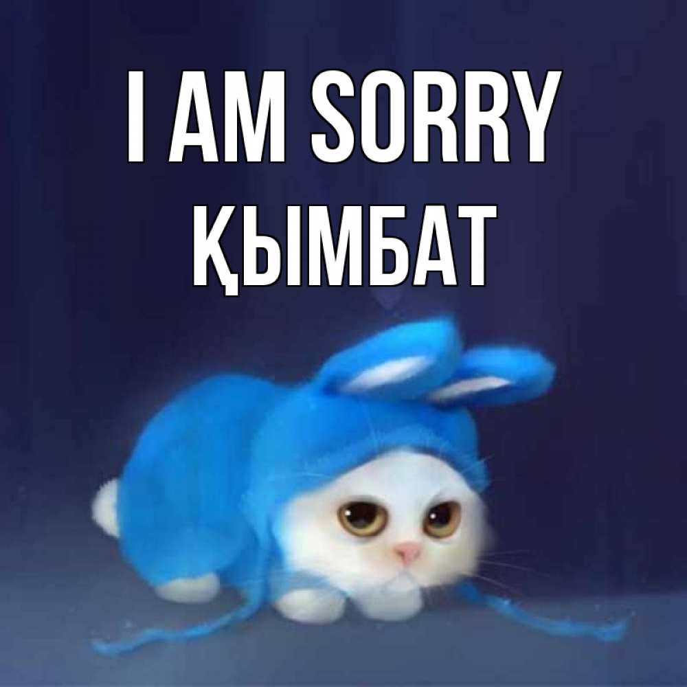 Greetings card с именем, ҚЫМБАТ I am sorry невинный котозай просит прощения Greetings with text for free download 
