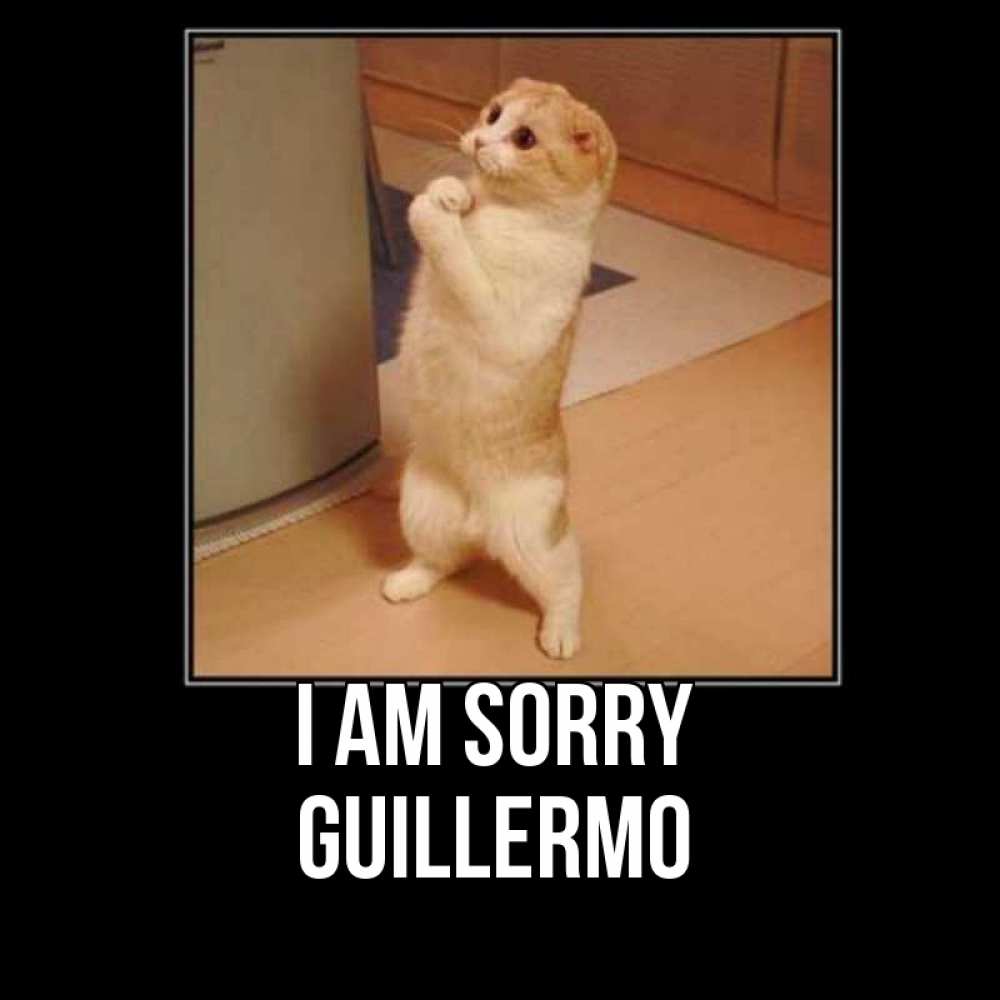 Greetings card с именем, Guillermo I am sorry открытка с милым несчастным котиком просящим прощения Greetings with text for free download 