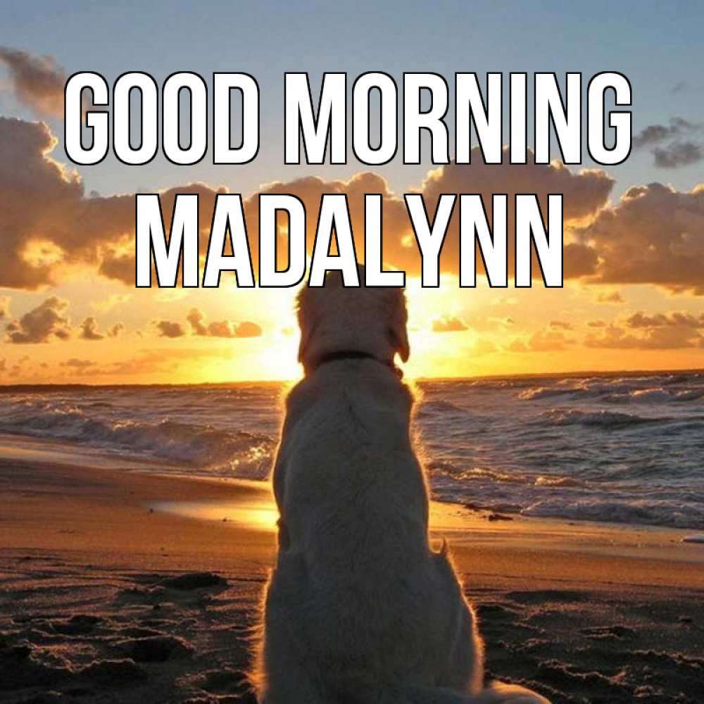 Greetings card с именем, Madalynn Good morning восход солнца Greetings with text for free download 