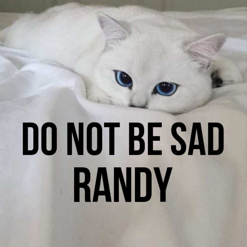 Greetings card с именем, Randy Do not be sad Голубоглазая кошка Greetings with text for free download 