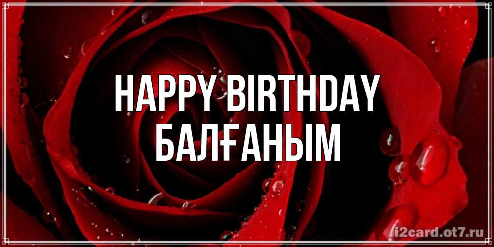Greetings card с именем, БАЛҒАНЫМ Happy Birthday крупная бордовая роза Greetings with text for free download 