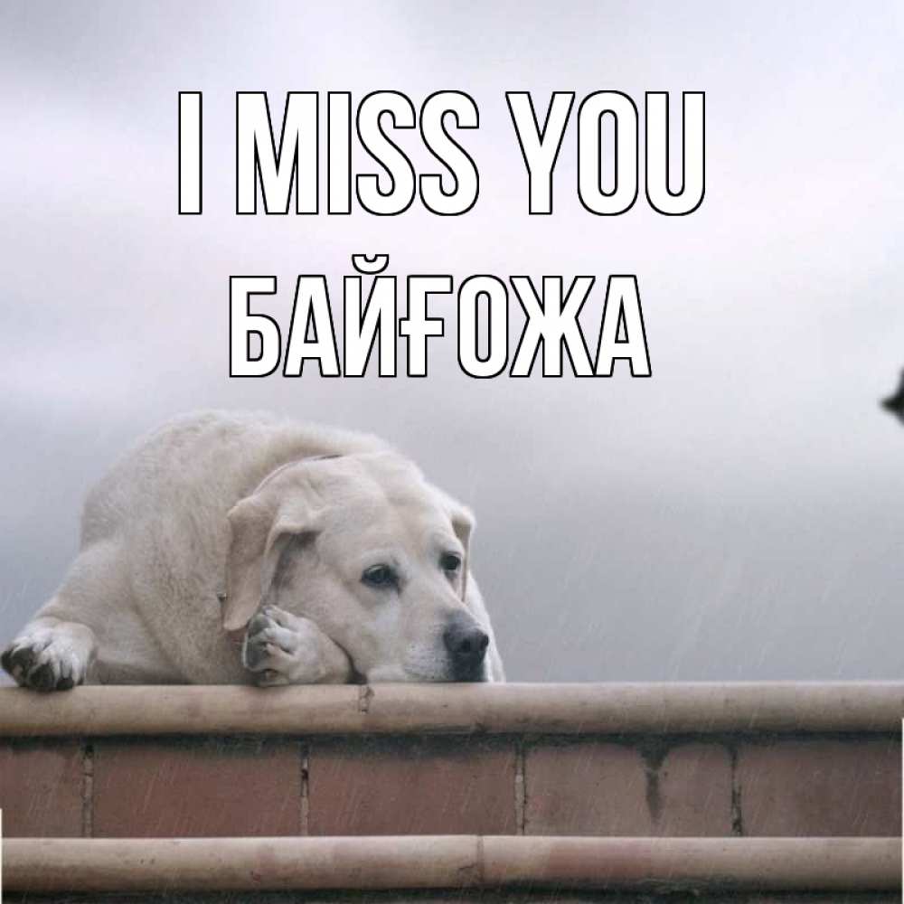 Greetings card с именем, Байғожа I miss you ждет Greetings with text for free download 