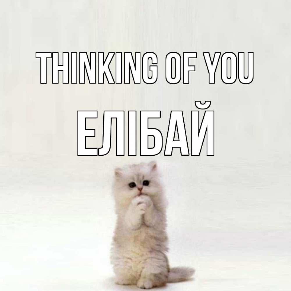 Greetings card с именем, Елібай Thinking of you кот стоит на задних лапах Greetings with text for free download 