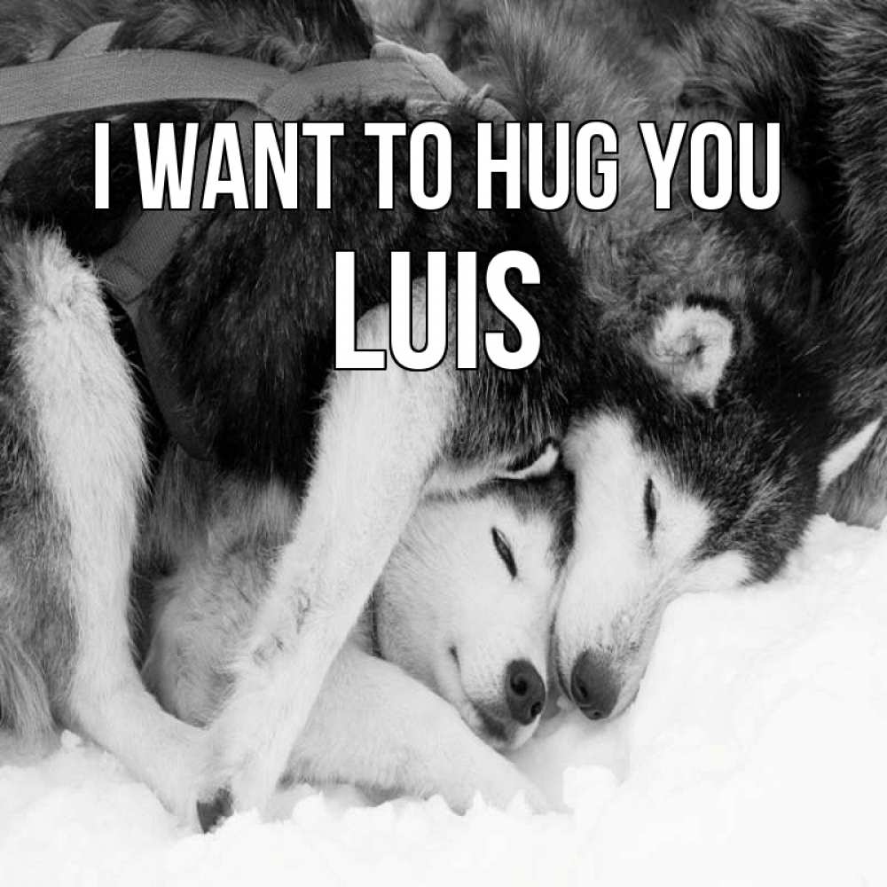 Greetings card с именем, Luis I want to hug you собачки в упряжке Greetings with text for free download 