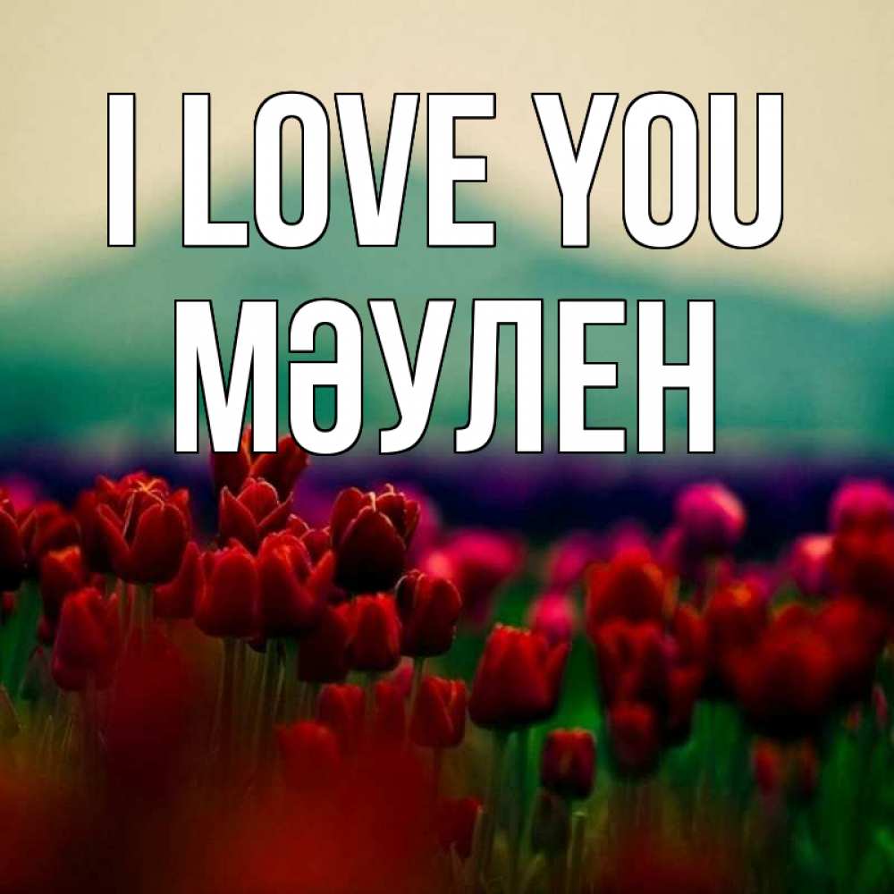 Greetings card с именем, МӘУЛЕН I love you тюльпаны 4 Greetings with text for free download 