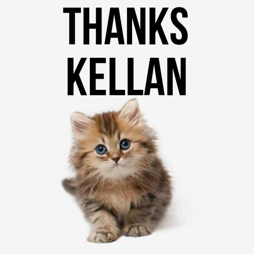 Greetings card с именем, Kellan Thanks пушистый котик Greetings with text for free download 
