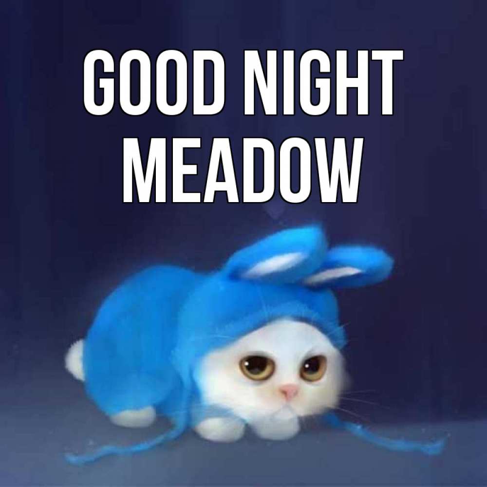 Greetings card с именем, Meadow Good night кот в голубом костюме кролика с ушками Greetings with text for free download 