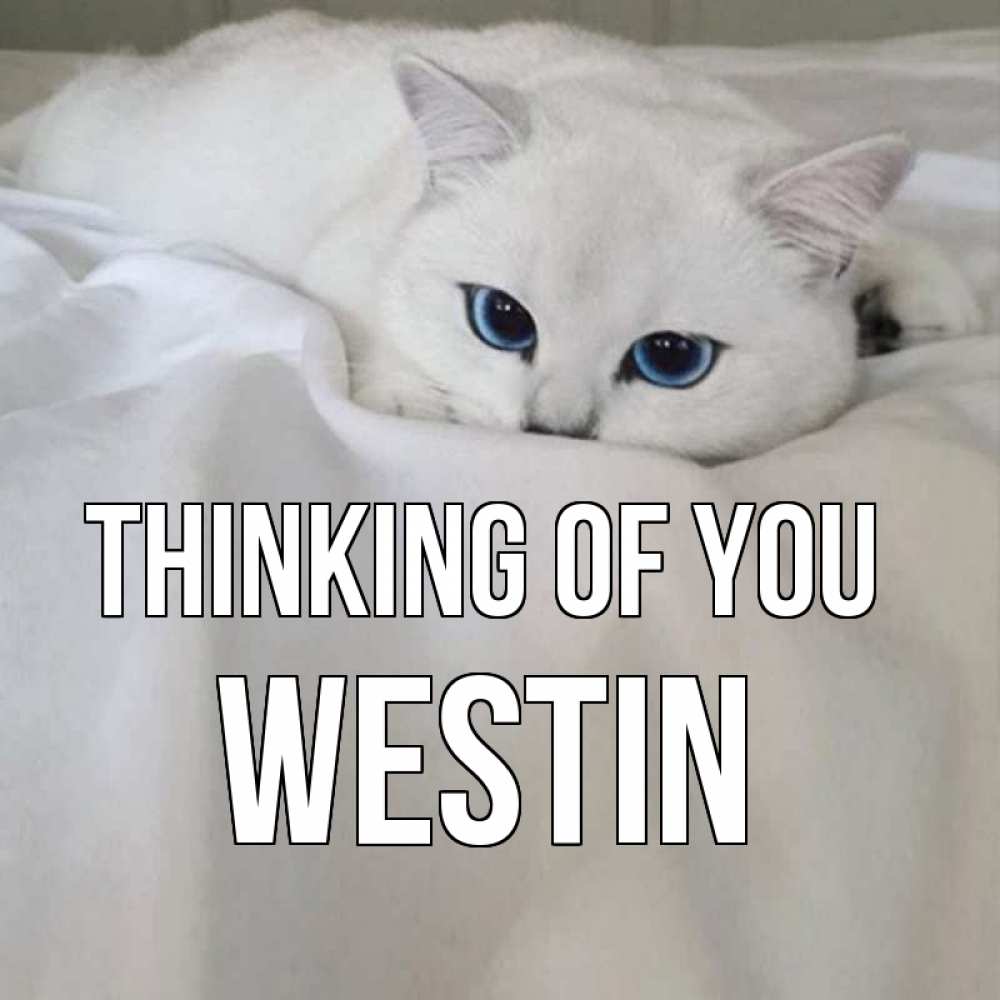 Greetings card с именем, Westin Thinking of you я очень по тебе скучаю и тоскую Greetings with text for free download 