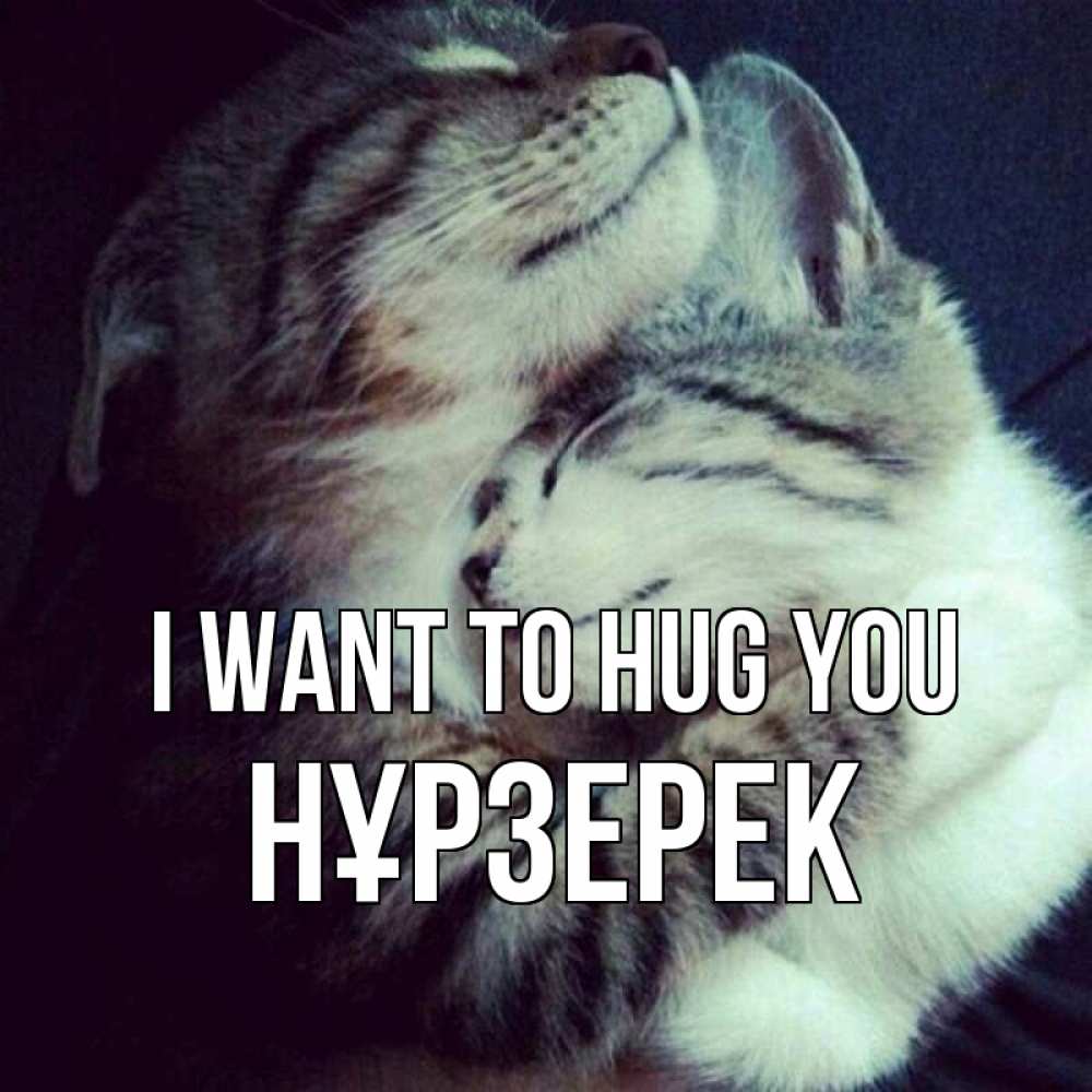 Greetings card с именем, НҰРЗЕРЕК I want to hug you полосатики Greetings with text for free download 