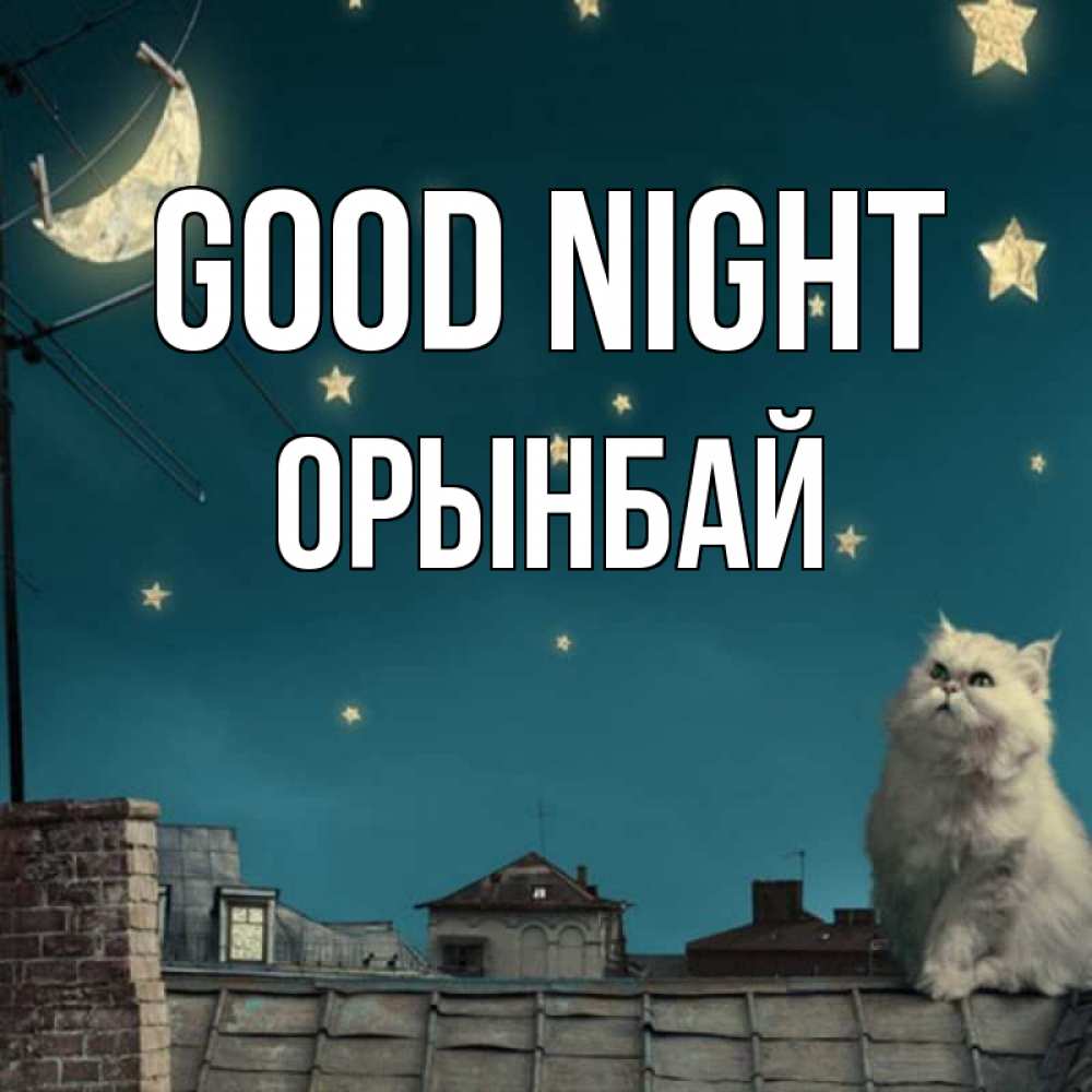 Greetings card с именем, ОРЫНБАЙ Good night белый кот сидит на крыше Greetings with text for free download 