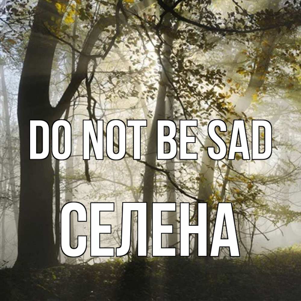 Greetings card с именем, Селена Do not be sad лес и свет Greetings with text for free download 