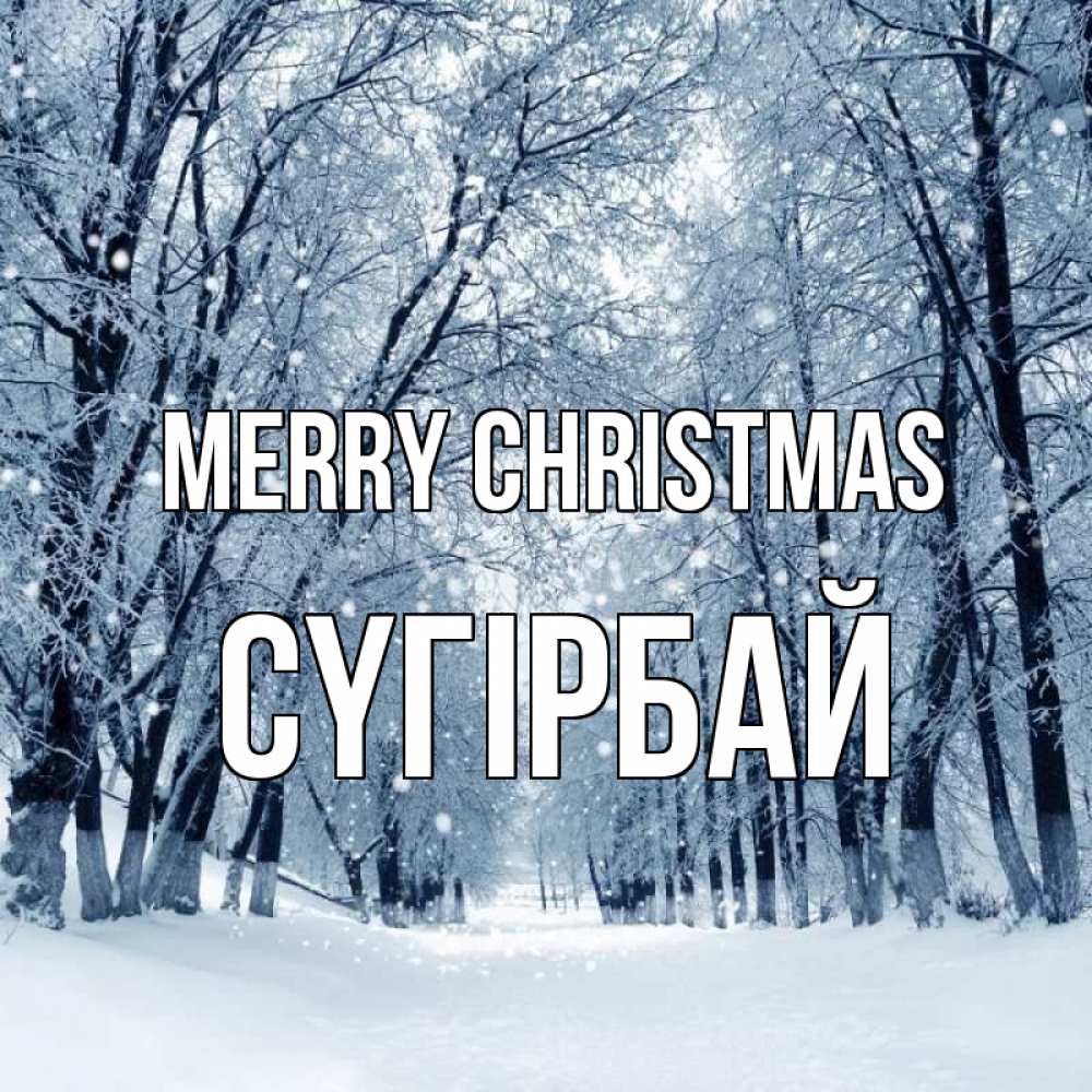 Greetings card с именем, СҮГІРБАЙ Merry Christmas снег, лес, парк Greetings with text for free download 