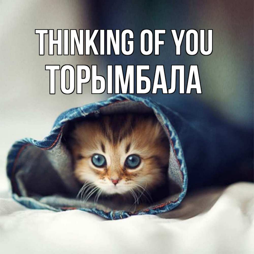Greetings card с именем, ТОРЫМБАЛА Thinking of you мне без тебя плохо Greetings with text for free download 