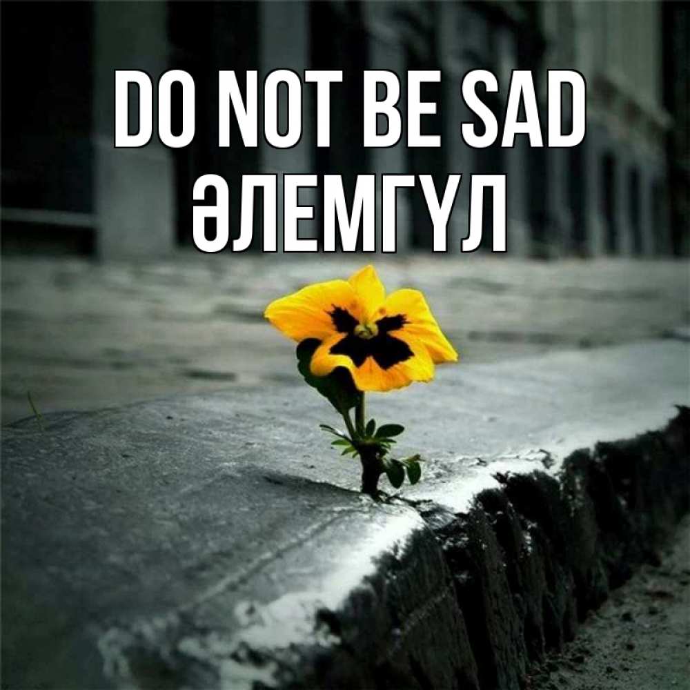 Greetings card с именем, ӘЛЕМГҮЛ Do not be sad не сдавайся Greetings with text for free download 