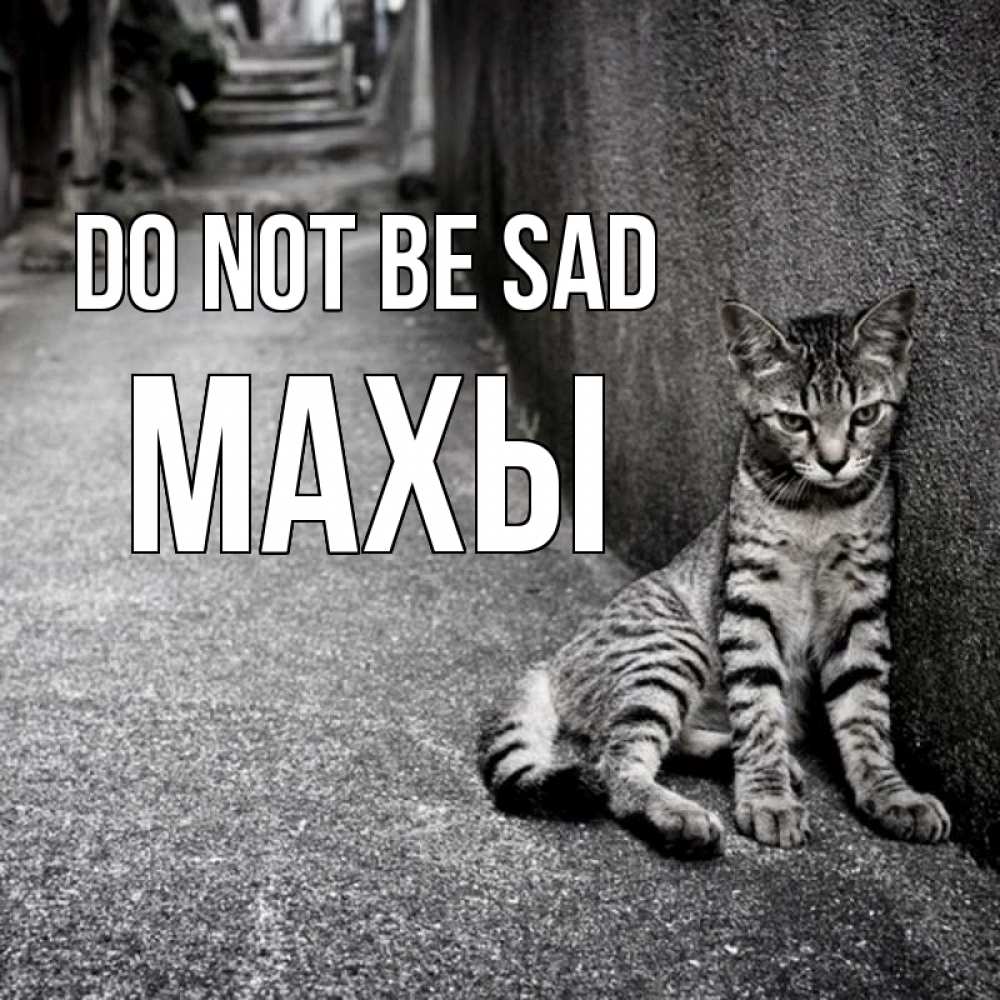 Greetings card с именем, МАХЫ Do not be sad скучающий котик Greetings with text for free download 