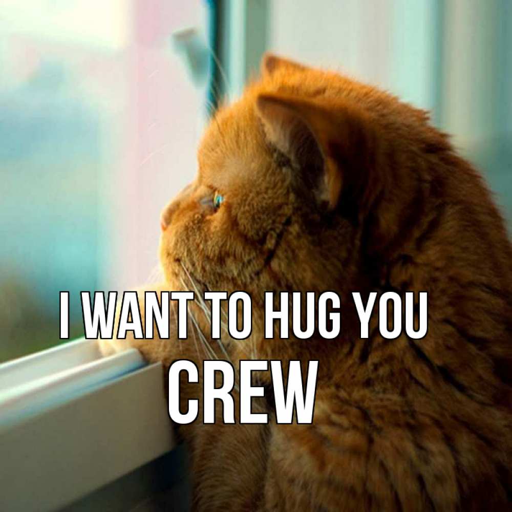 Greetings card с именем, Crew I want to hug you большой огромный рыжий котяра Greetings with text for free download 