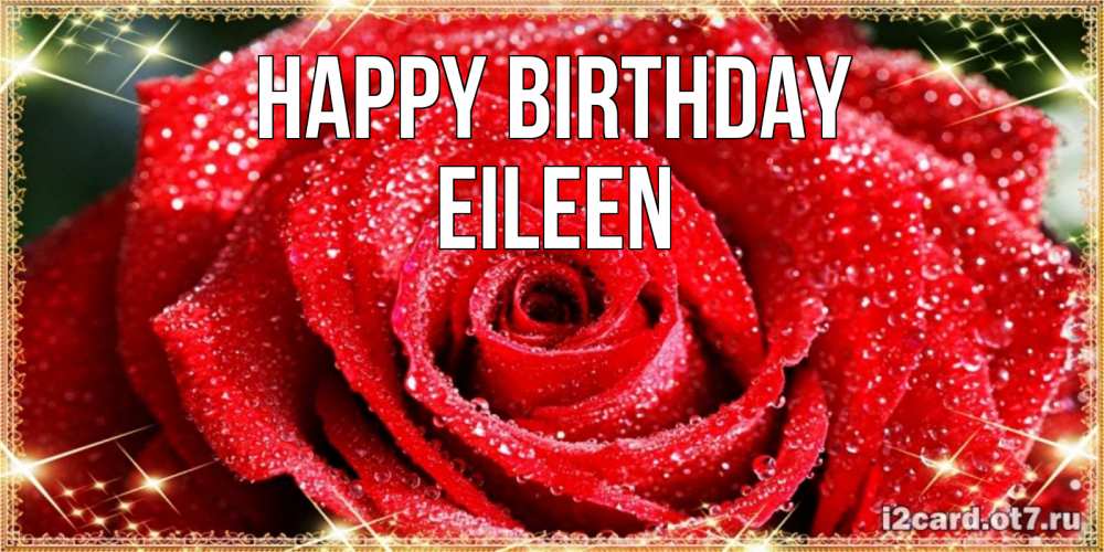 Greetings card с именем, Eileen Happy Birthday роса и роза. открытка с красивой розой Greetings with text for free download 
