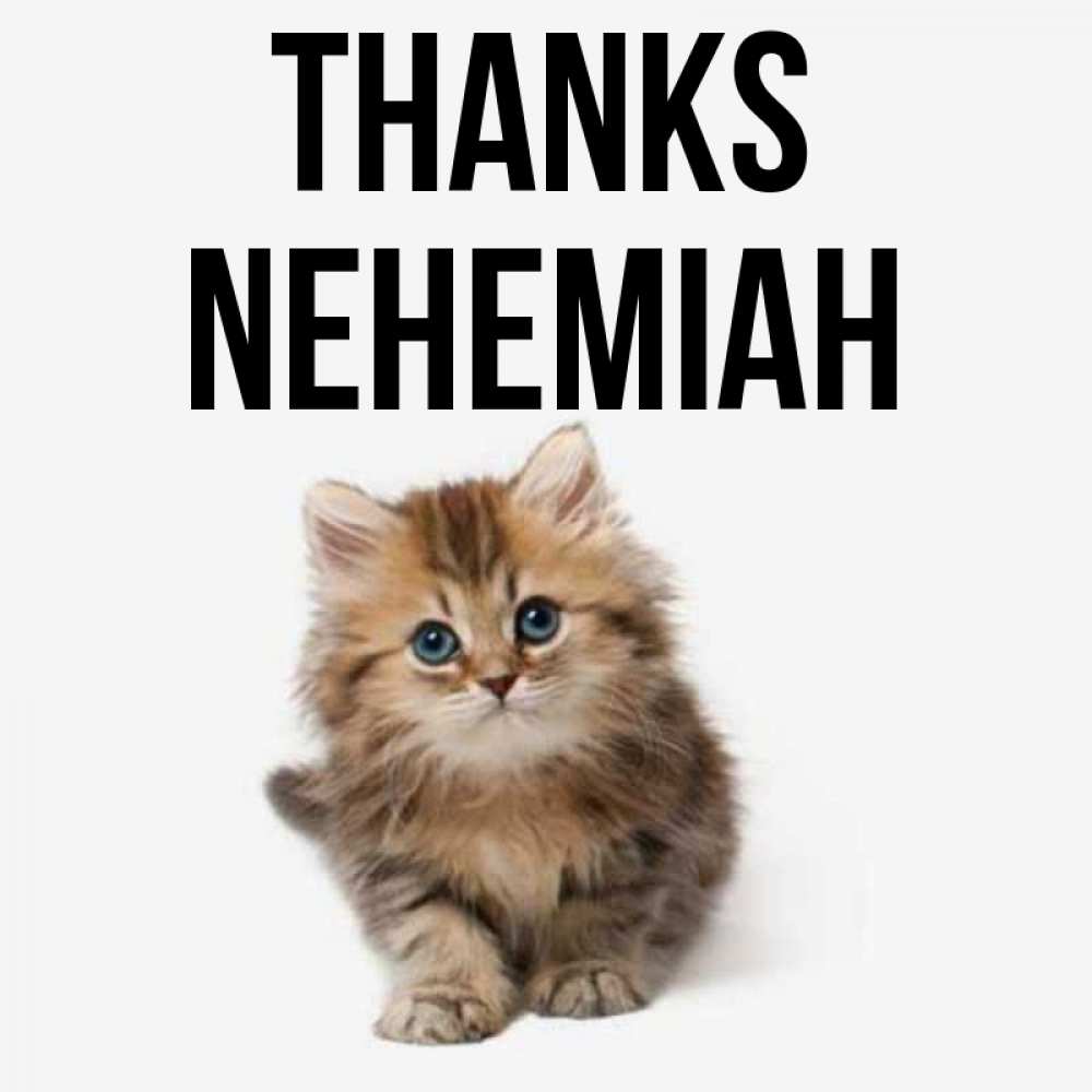 Greetings card с именем, Nehemiah Thanks пушистый котик Greetings with text for free download 