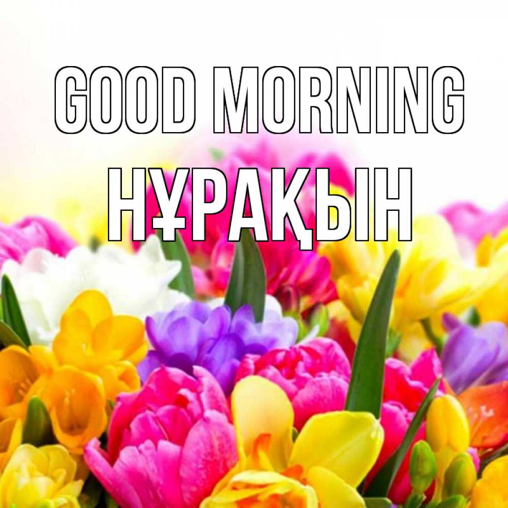 Greetings card с именем, НҰРАҚЫН Good morning создать открытку со свое подписью Greetings with text for free download 