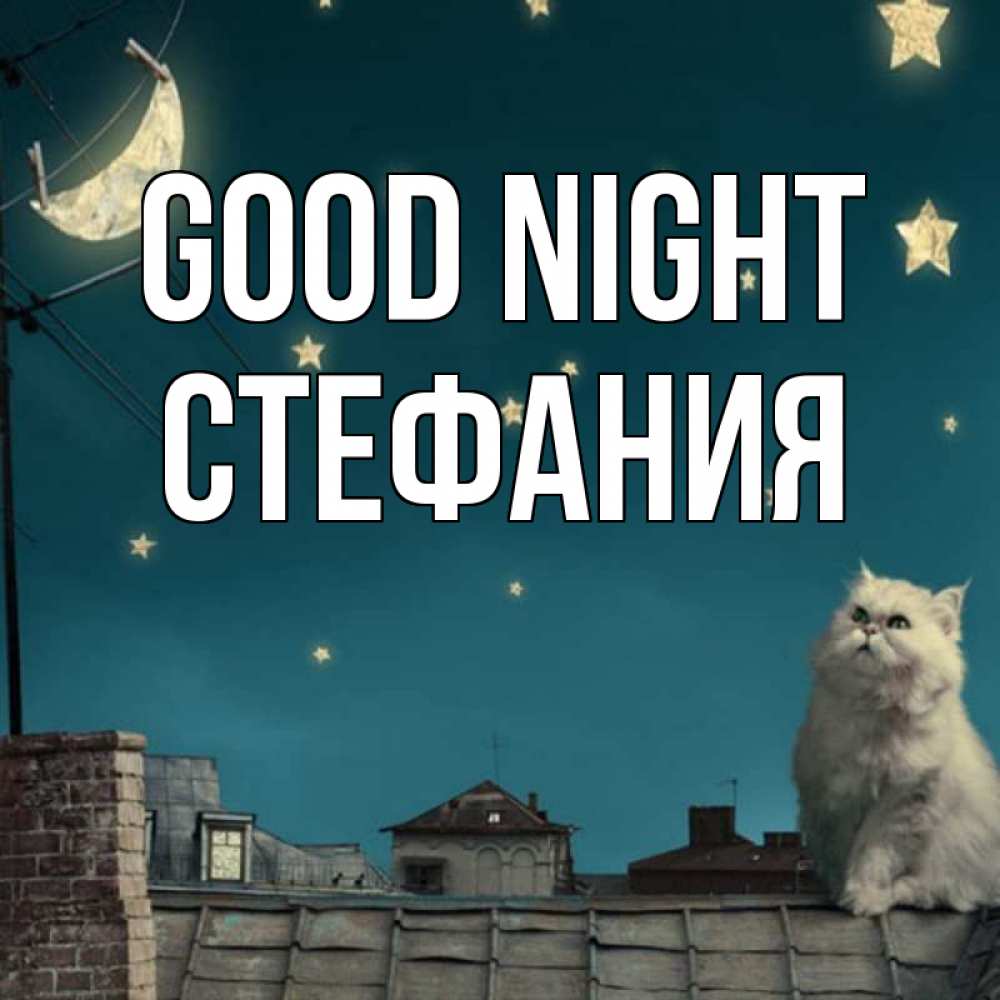 Greetings card с именем, Стефания Good night белый кот сидит на крыше Greetings with text for free download 
