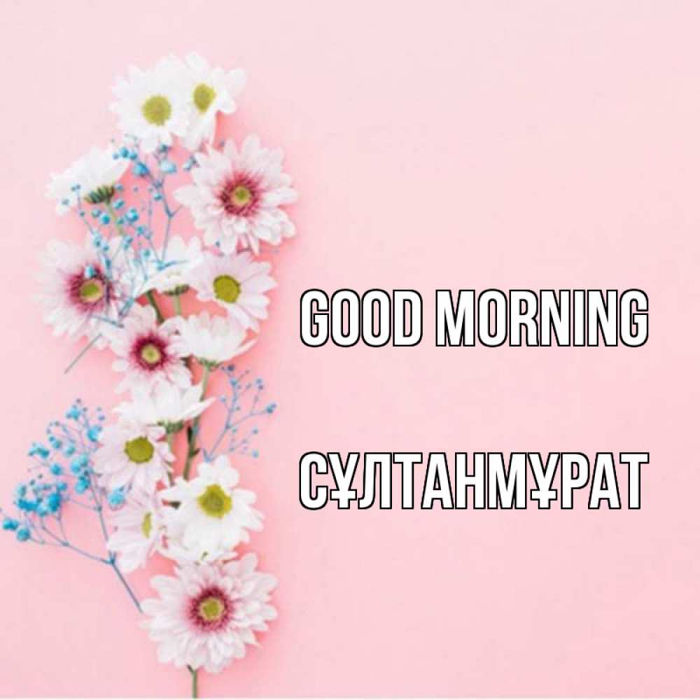 Greetings card с именем, СҰЛТАНМҰРАТ Good morning цветы с подписью Greetings with text for free download 
