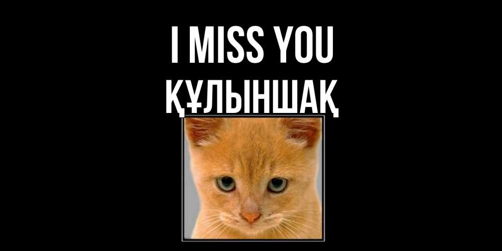 Greetings card с именем, ҚҰЛЫНШАҚ I miss you открытки рыжий котенок скучает по тебе Greetings with text for free download 