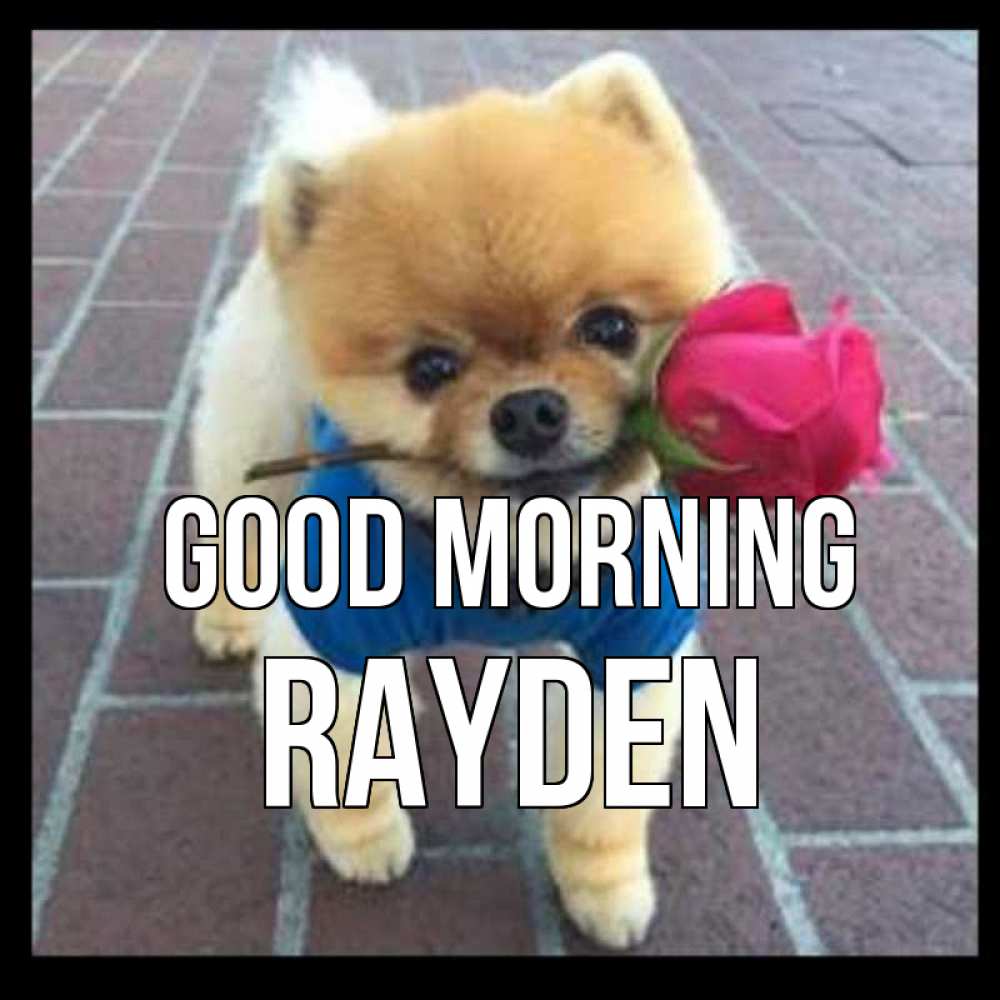 Greetings card с именем, Rayden Good morning роза в зубах Greetings with text for free download 