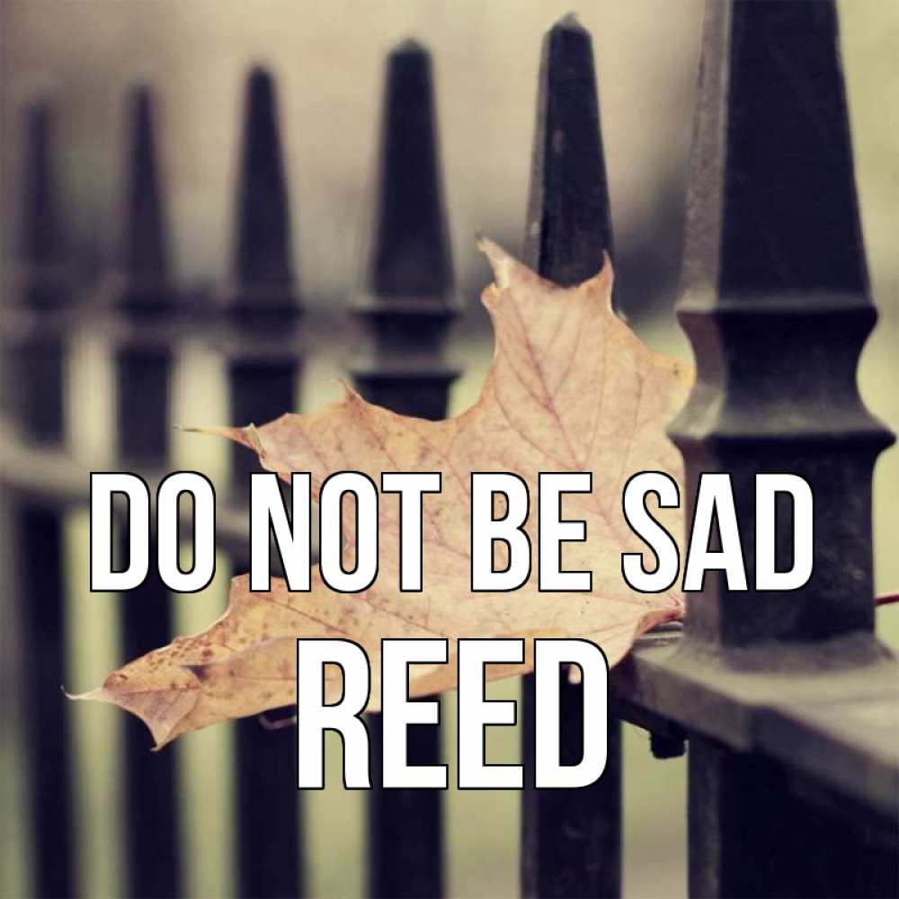 Greetings card с именем, Reed Do not be sad лист клена Greetings with text for free download 