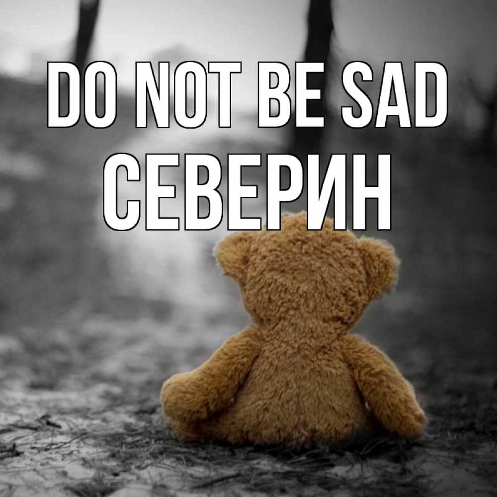 Greetings card с именем, Северин Do not be sad медведь со спин Greetings with text for free download 