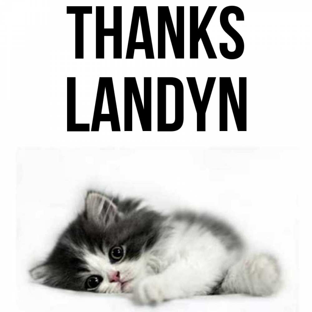 Greetings card с именем, Landyn Thanks черный и белый кот Greetings with text for free download 
