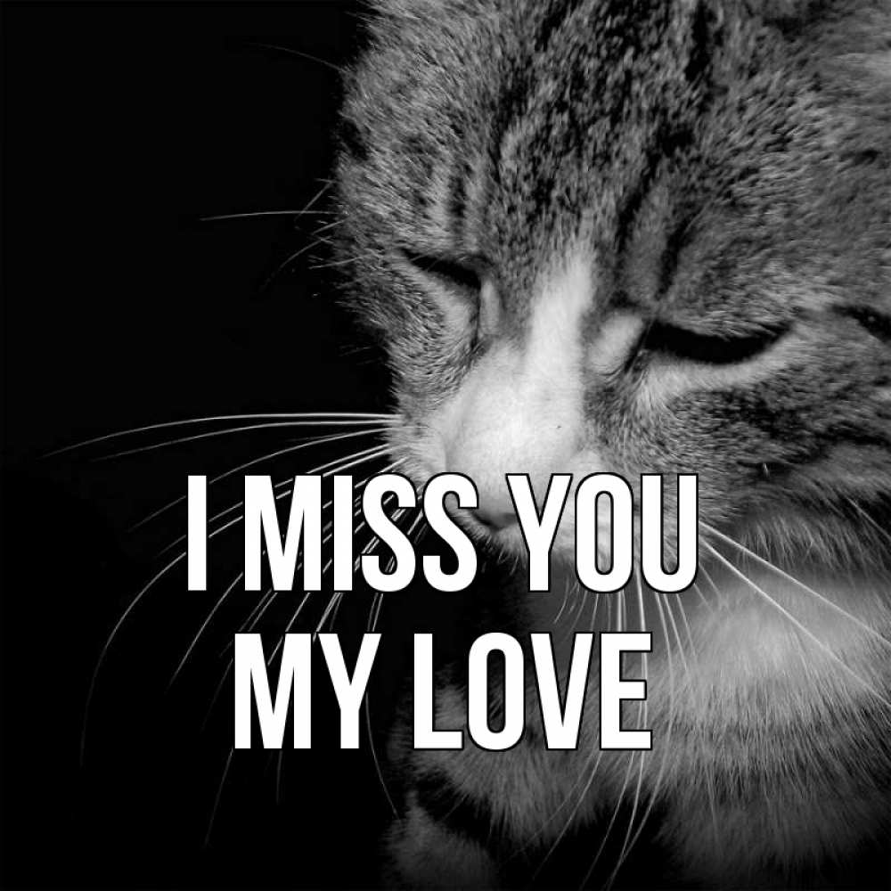 Greetings card с именем, my-love I miss you мне скучно Greetings with text for free download 