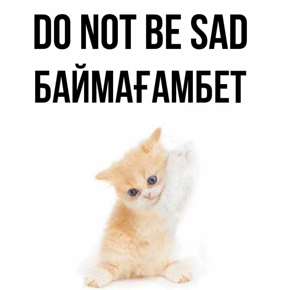 Greetings card с именем, Баймағамбет Do not be sad просящий кот Greetings with text for free download 