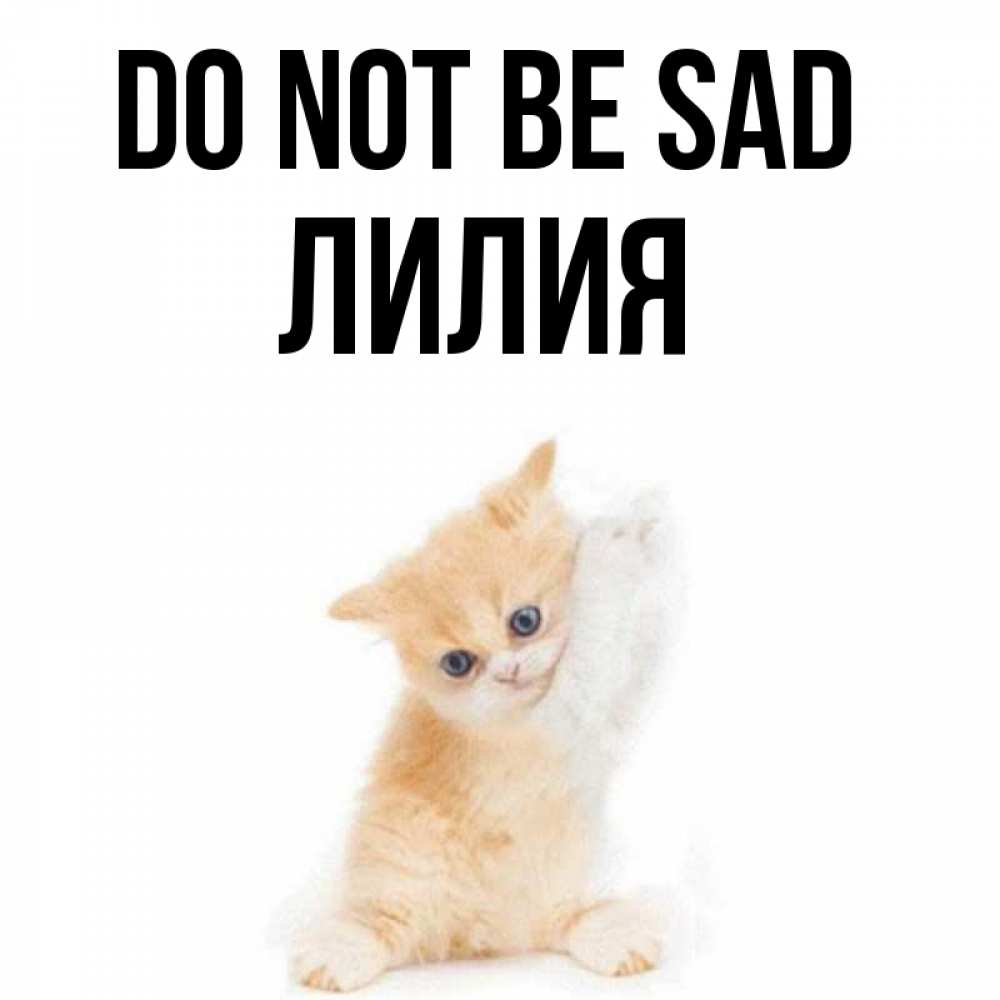 Greetings card с именем, Лилия Do not be sad просящий кот Greetings with text for free download 