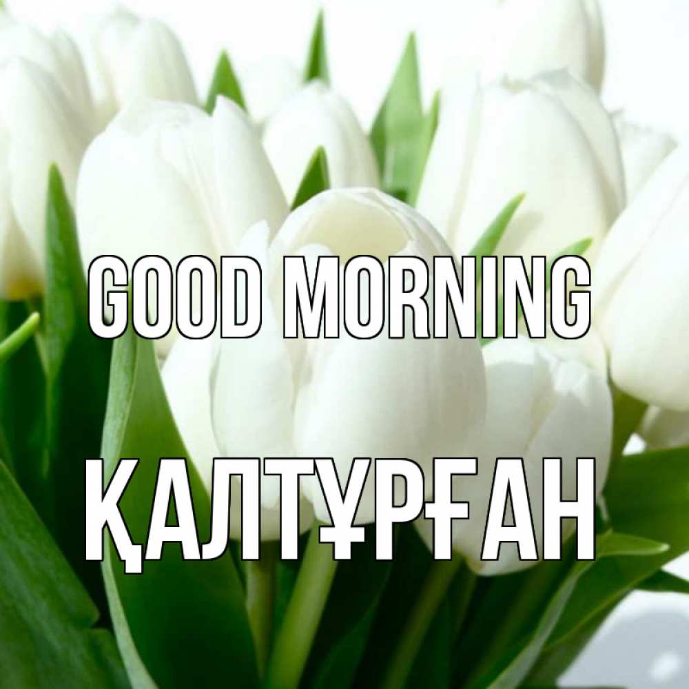 Greetings card с именем, ҚАЛТҰРҒАН Good morning открытки на каждый день по именам Greetings with text for free download 