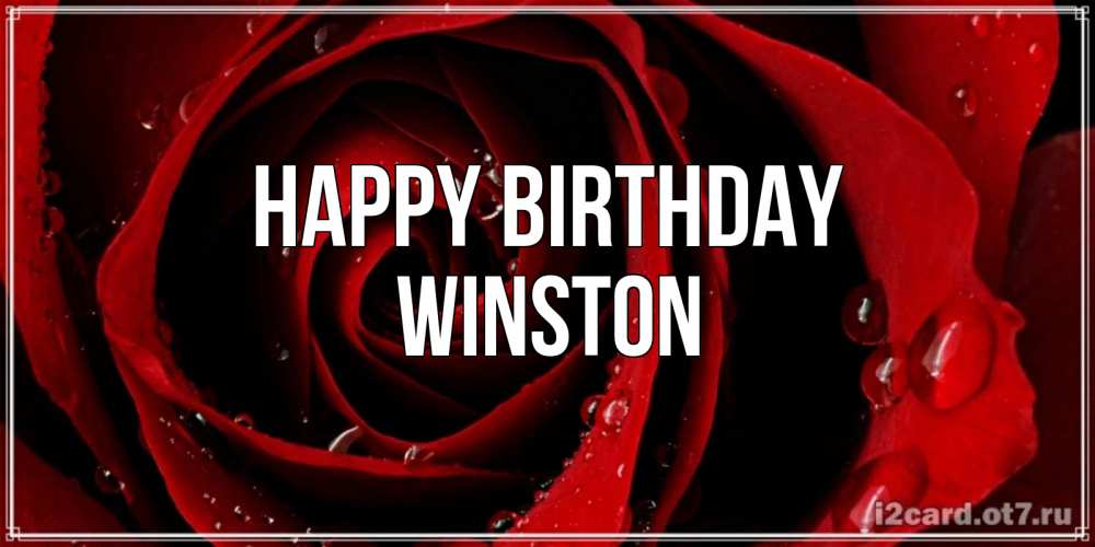 Greetings card с именем, Winston Happy Birthday крупная бордовая роза Greetings with text for free download 