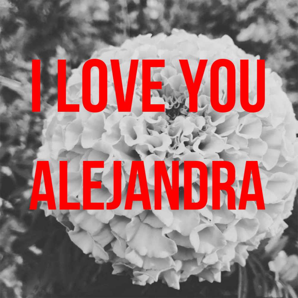 Greetings card с именем, Alejandra I love you подпись Greetings with text for free download 