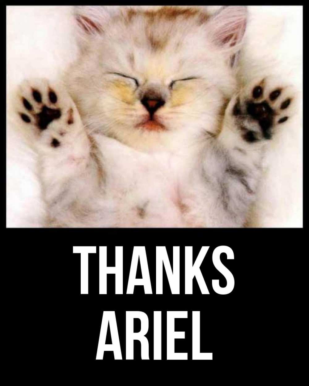 Greetings card с именем, Ariel Thanks маленький котенок Greetings with text for free download 