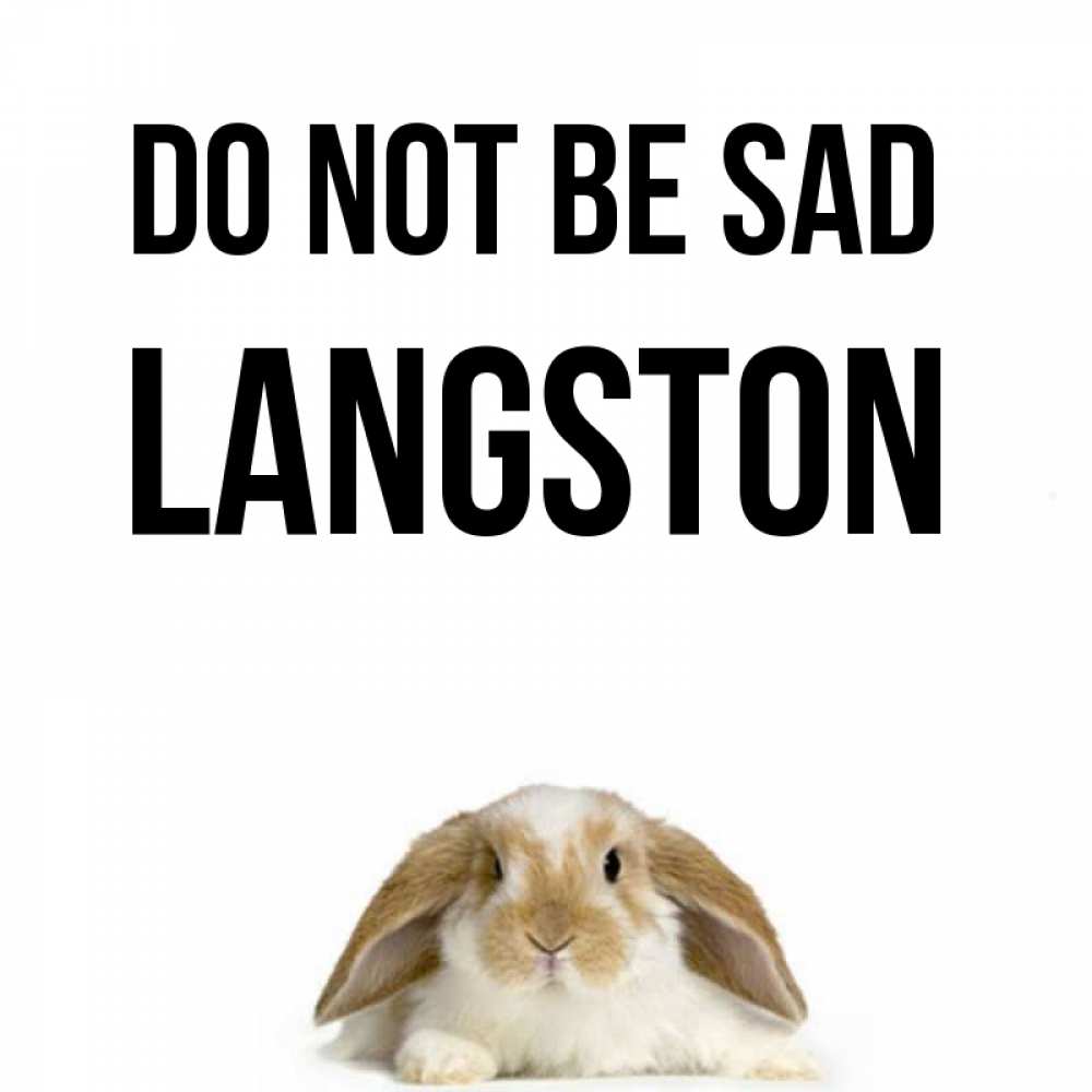Greetings card с именем, Langston Do not be sad коричнево белый заяц с большими ушками Greetings with text for free download 