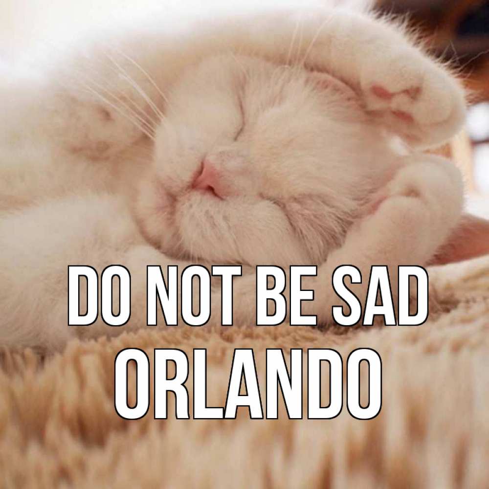Greetings card с именем, Orlando Do not be sad белый кот Greetings with text for free download 