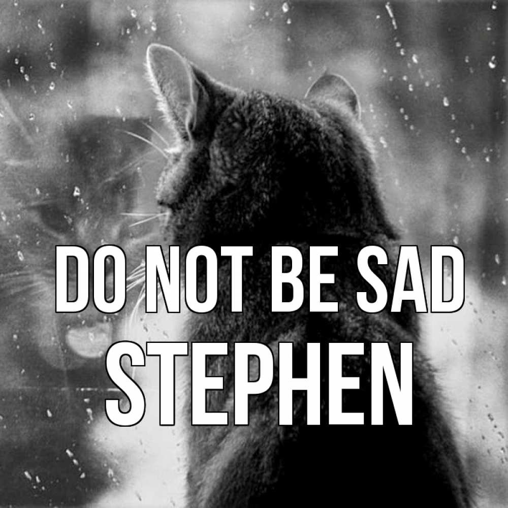 Greetings card с именем, Stephen Do not be sad отражение кота 1 Greetings with text for free download 