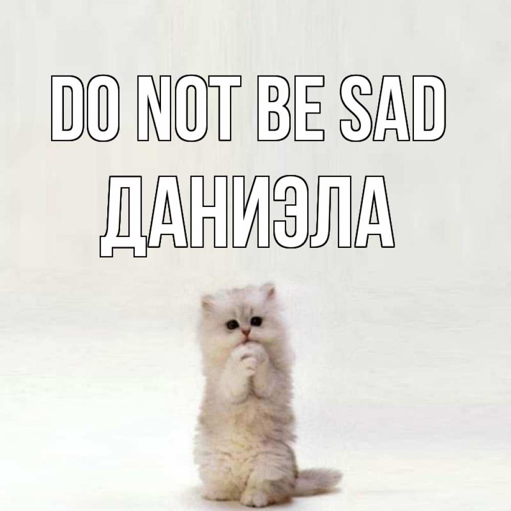 Greetings card с именем, Даниэла Do not be sad грустный кот Greetings with text for free download 